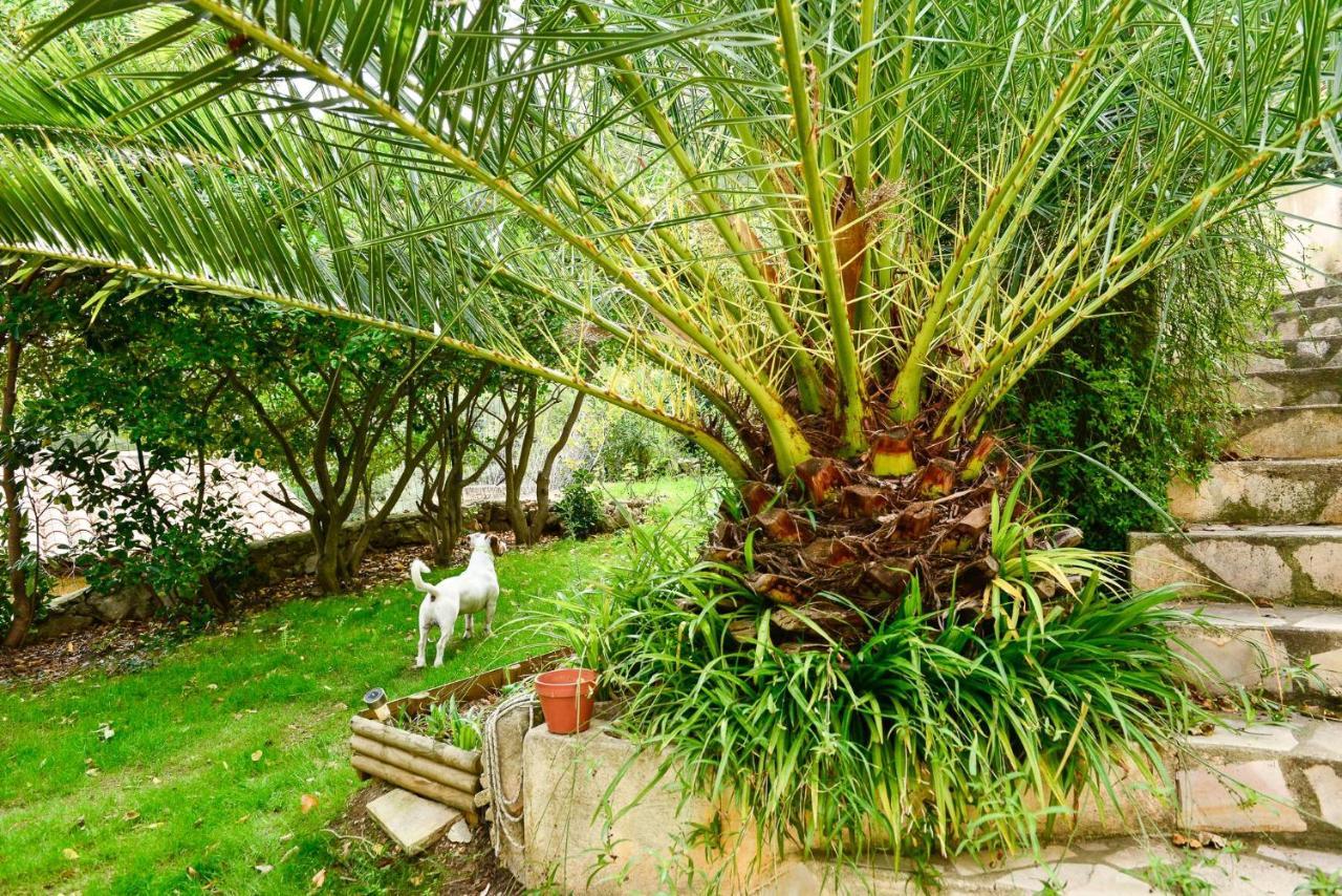 L'Appartement - Jardin Secret Marseilles Exterior foto